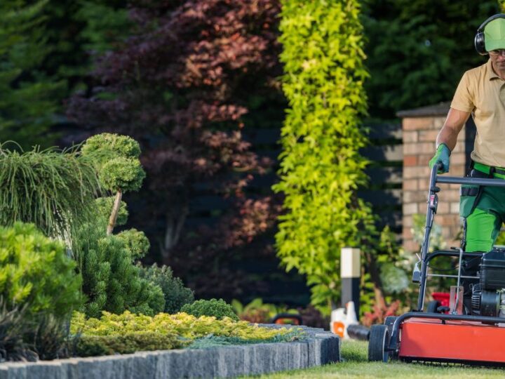 How to Market a Lawn Care Business – Best Tips and Strategies